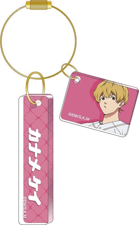 �Y�p�ޯ�ذ ������ڰķ����ް / �v�\ 