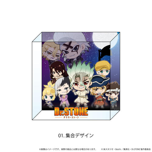 ������ۯ� (�����`) �uDr.STONE�v 01 / �W���޻޲� (�����؂� Ver.) 