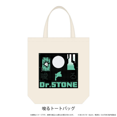 ����İ��ޯ�� �uDr.STONE�v 