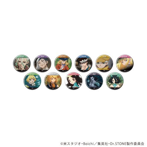 ���ޯ�� �uDr.STONE�v 38 / ��ײ��� (�S11��) (��ʎ� �׽�) BOX 