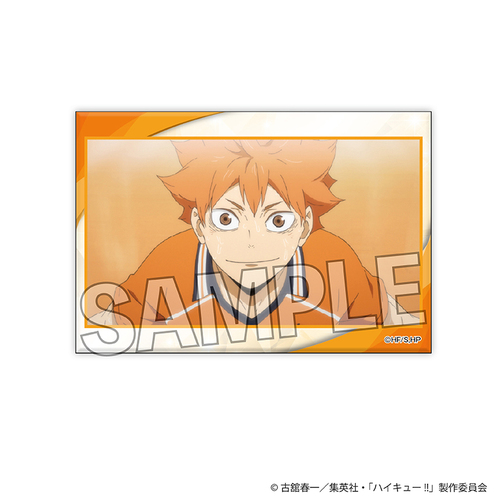 ʲ���!! ��׷�׽���� 14 