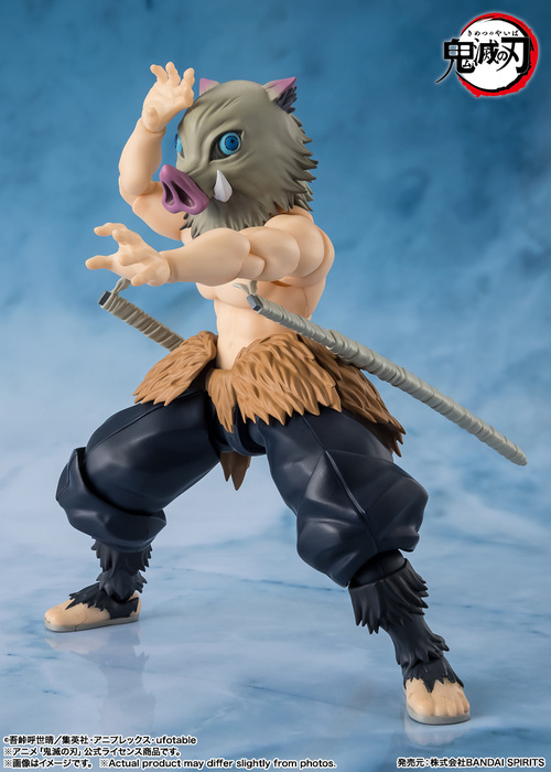 S.H.Figuarts �S�ł̐n �{���ɔV�� 