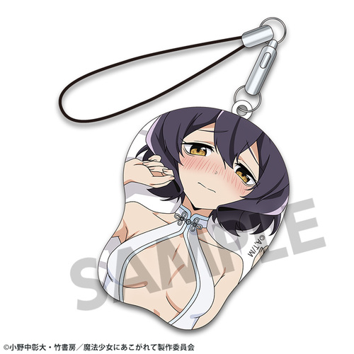 ���@�����ɂ�������� �`�����낵 �Ɨ���ϳ��߯�޽�ׯ�� �A���Ă� 