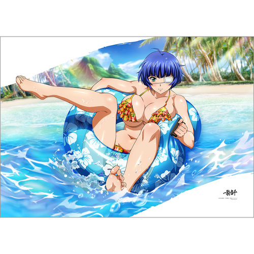 ��R���� �|���z�c��ް (�C�֎q�� / ����ݸ�ײ��) 