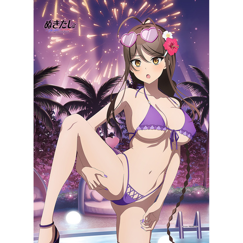 �ʂ����� THE ANIMATION �`�����낵 B2 ��߽�ذ (����� / Ų��߰�) W����� 