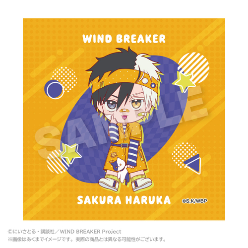 WIND BREAKER ����� vivid Ver. ���y 