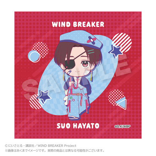 WIND BREAKER ����� vivid Ver. �h�c���� 
