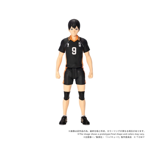 COLLEKAZARO CK-H02 ʲ���!! �e�R��Y 