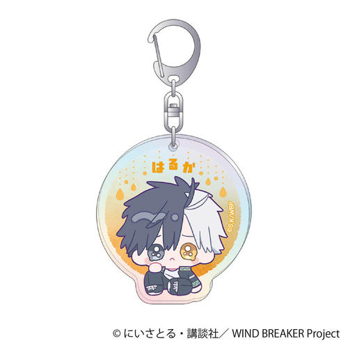 WIND BREAKER �۸��ѷ����ް / ���y �݂ɂ҂��� 