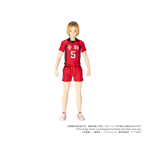 COLLEKAZARO CK-H05 ʲ���!! �ǒ܌��� 