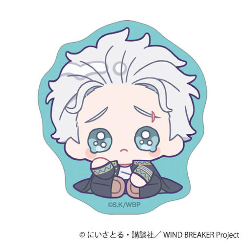 WIND BREAKER �ï�� / �~�{�� �݂ɂ҂��� 