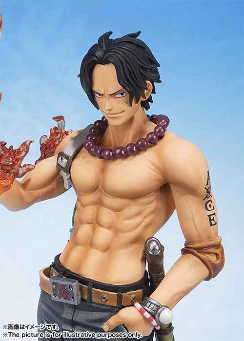 ̨ޭZERO ONE PIECE ߰ ߰Ķ޽D -5th Anniversary Edition- 