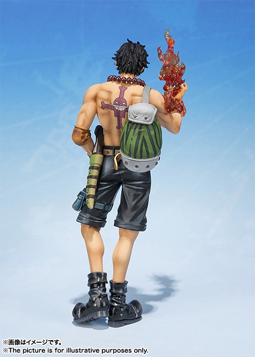 ̨ޭZERO ONE PIECE ߰ ߰Ķ޽D -5th Anniversary Edition- 