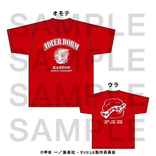 ϯ��� -MASHLE- T��� 