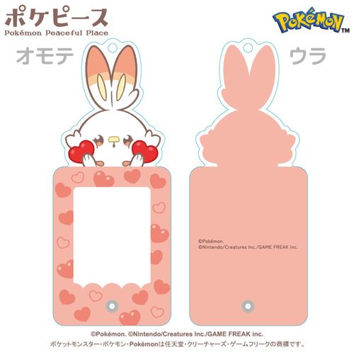 �߹�߰� [�߹���ݽ��] ̫��ڰѷ����ް (3) ���ư 