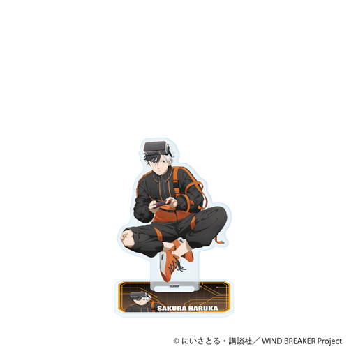 ���ٽ���� �uTV��� �wWIND BREAKER�x�v 19 / ���y (�`�����낵 �׽�) 