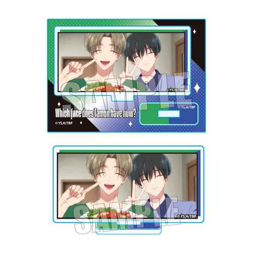��ذ�� �ƽ���� TV��� �w�������񍡂ǂ���!?�x / ���� & �h�l 