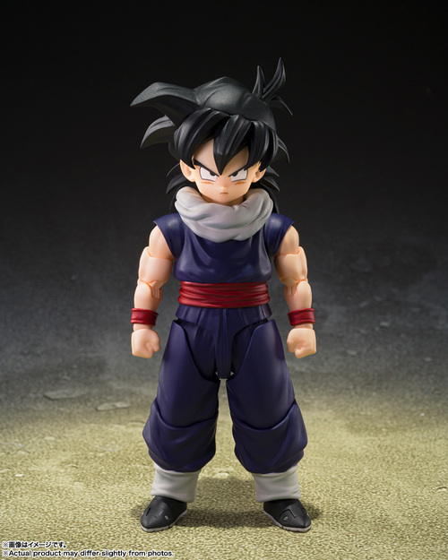 S.H.Figuarts ��׺���ް�Z �����(Z��m) (������� Z��m �W�����A�t����) 