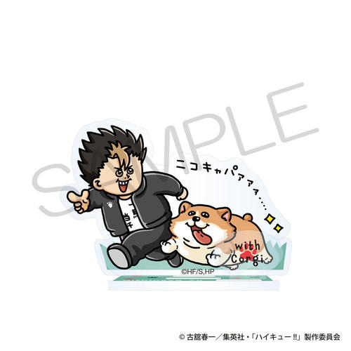 ʲ���!! ���ٽ���� �����ƈꏏ Ver. ���J�[ 