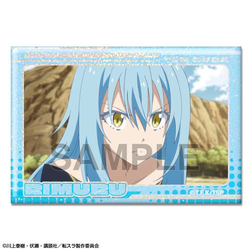 �]��������ײт������� �۸��ъ��ޯ�� Ver. 2 �޻޲� 06 (��� / F) 