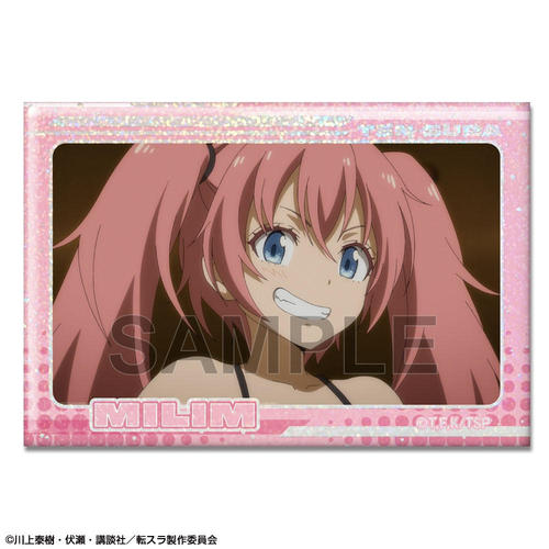 �]��������ײт������� �۸��ъ��ޯ�� Ver. 2 �޻޲� 16 (��� / B) 