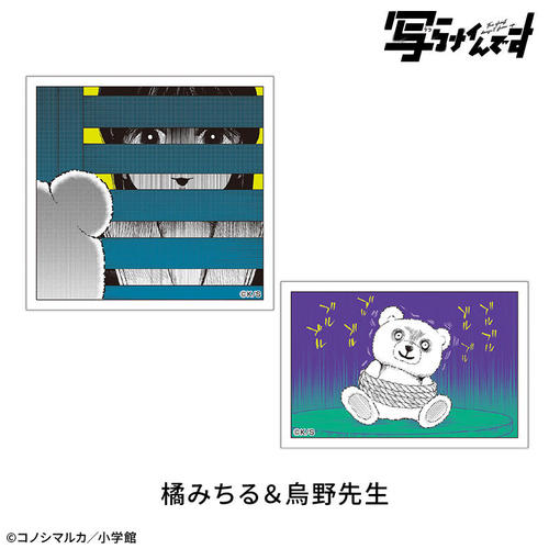 �y�ʂ�Ų��ł��z ���Ͻï����� 2�� : �k�݂��� & �G��搶 
