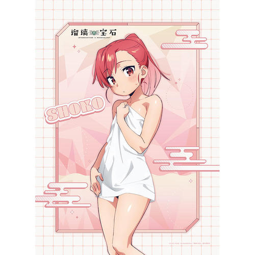 [�ڗ��̕��] �`�����낵 B2 ��߽�ذ (���ˏɎq / ����) W����� 