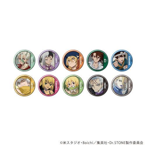 ���ޯ�� �uDr.STONE�v 43 / ��ײ��� (�S10��) (��ʎʲ׽�) BOX 