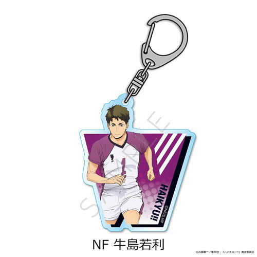 �uʲ���!!�v ��12�e ���ٷ����ް NF (�����ᗘ) 
