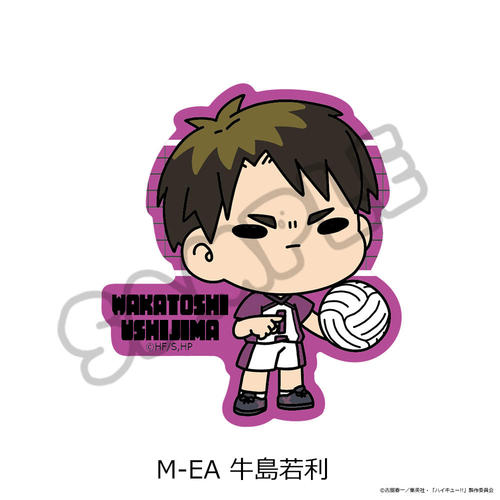 �uʲ���!!�v ��11�e �ر���޽ï�� (mochocho) M-EA (�����ᗘ) 