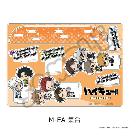 �uʲ���!!�v ��11�e �ޯ�ޱ��ٽ���� (mochocho) M-EA (�W��) 