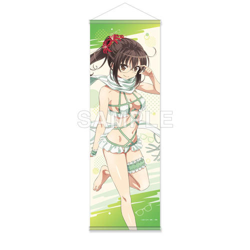 �l�͗F�B�����Ȃ� ʰ���߽�ذ Anime 15th anniversary �u�F���� 