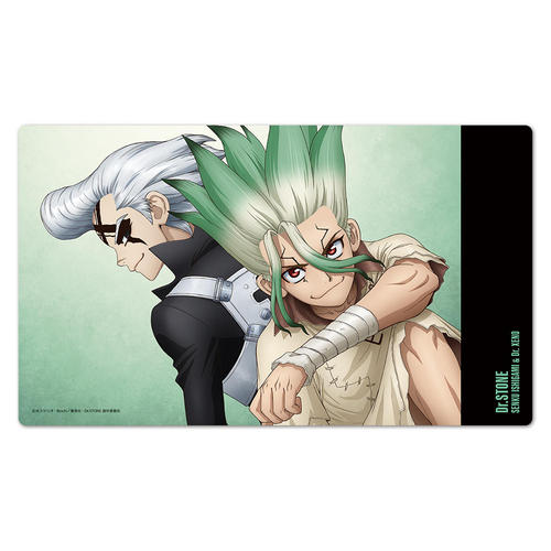 Dr.STONE ��׸����ްϯ� ��� & ��� 