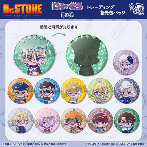 TV��� �uDr.STONE�v �ɂ�`�Ƃ� ��O�e �ڰ�ިݸ� �~�����ޯ�� BOX 
