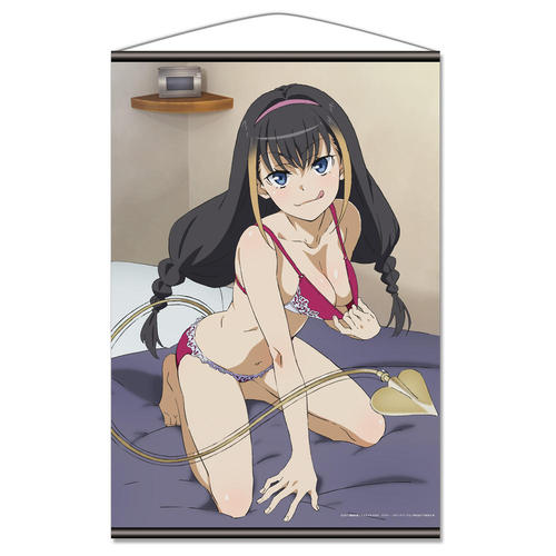 �Ƃ��閂�p�̋֏��ژ^ III B2 ��߽�ذ D [گ��] 