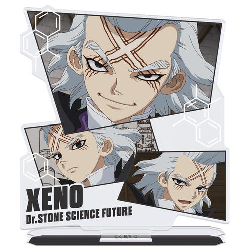 Dr.STONE ���ٷ�׽���� Dr.��� ��ʎ� Ver. 