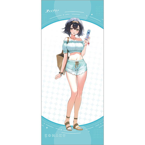 [��׿�] �`�����낵 ������߽�ذ (�ʸ / �ĕ�) 