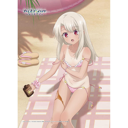 [����� �uFate/kaleid liner ��ؽ�ρ���� Licht ���O�̖��������v] �`�����낵 B2 ��߽�ذ (��� / ���Ă�) W����� 