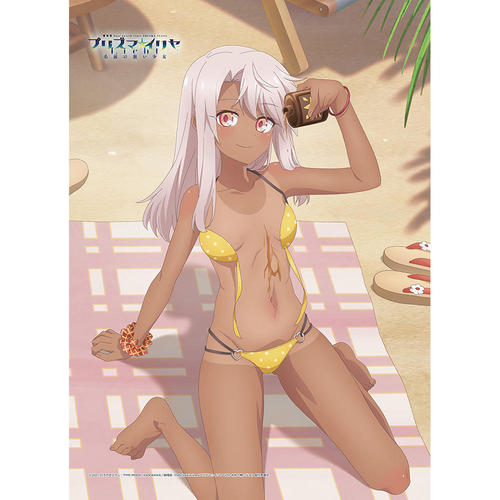 [����� �uFate/kaleid liner ��ؽ�ρ���� Licht ���O�̖��������v] �`�����낵 B2 ��߽�ذ (�۴ / ���Ă�) W����� 