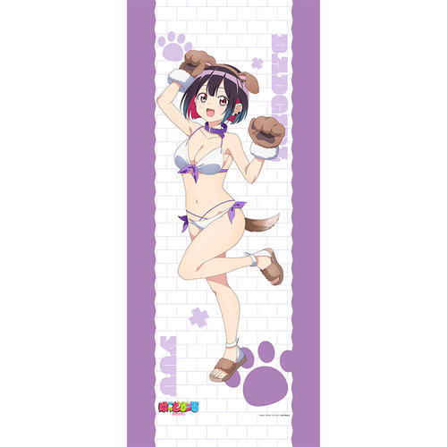 [�΂��ǂ����] �`�����낵 ������߽�ذ (�D�J�D / ���ِ���) 