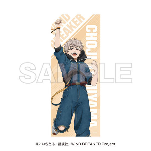WIND BREAKER -SUMMER WIND VACATION- ̪����� �e���R���q 