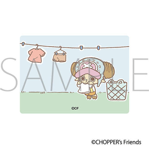 CHOPPER's ������� ������ۯ� / ���� [ONE PIECE ���߰�] 