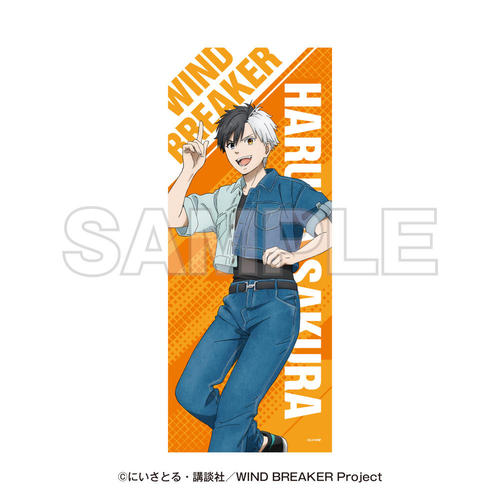 WIND BREAKER -SUMMER WIND VACATION- ̪����� ���y 