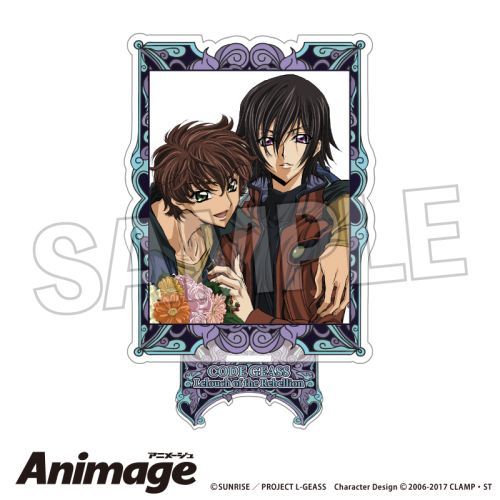 ޷ޱ tٰ Animage ٽ A 