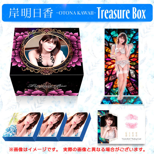 ݖ`OTONA KAWAII` Treasure Box 