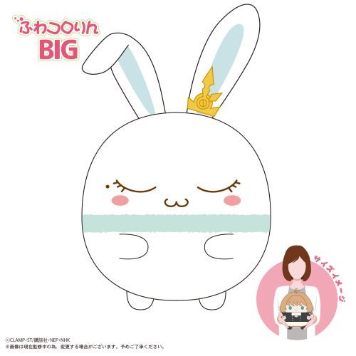 CCS-10 ޷ رޕ ӂۂ BIG F :  