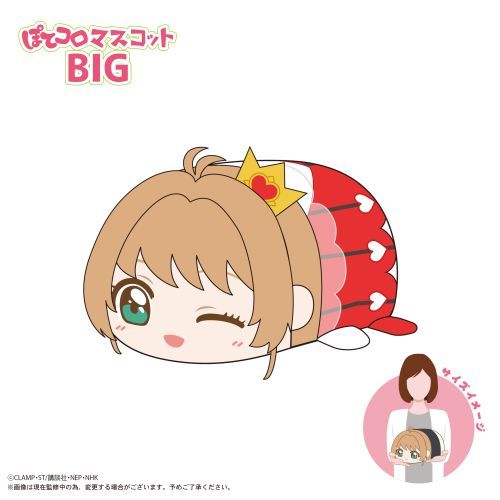 CCS-12 ޷ رޕ ۂĺϽ BIG C : ؔV{ (۹ް) 
