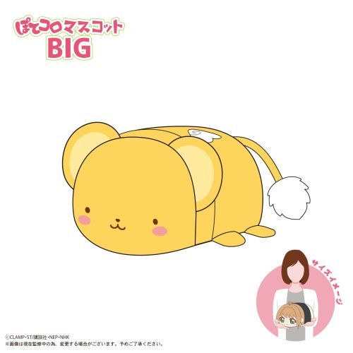 CCS-12 ޷ رޕ ۂĺϽ BIG D : ۂ 