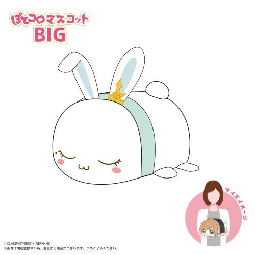 CCS-12 ޷ رޕ ۂĺϽ BIG F :  