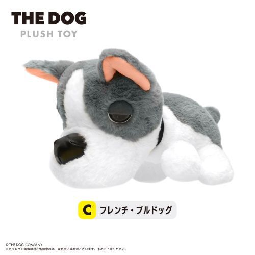 TD-01 THE DOG ʂ C : ޯ 